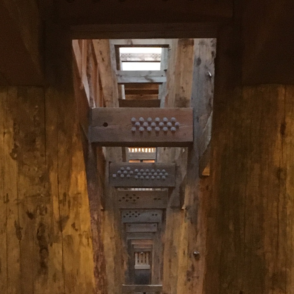 Meet your Posher, Ezra